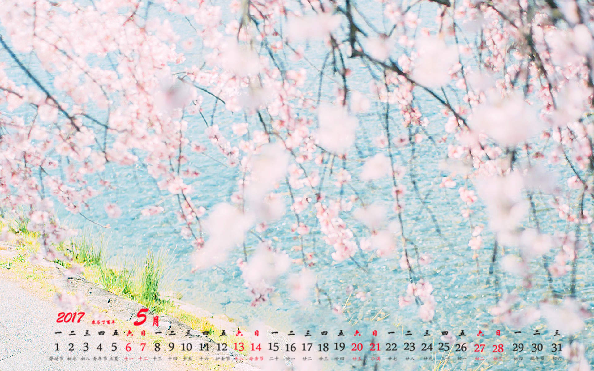 2017年6月唯美好看的樱花高清电脑桌面日历壁纸图片