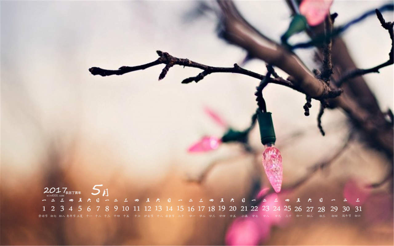 生机盎然的绿色叶子护眼图片桌面壁纸图片