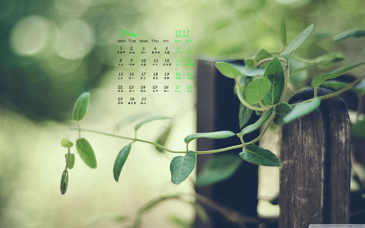 2020年9月夏季护眼绿色桌面日历壁纸图片