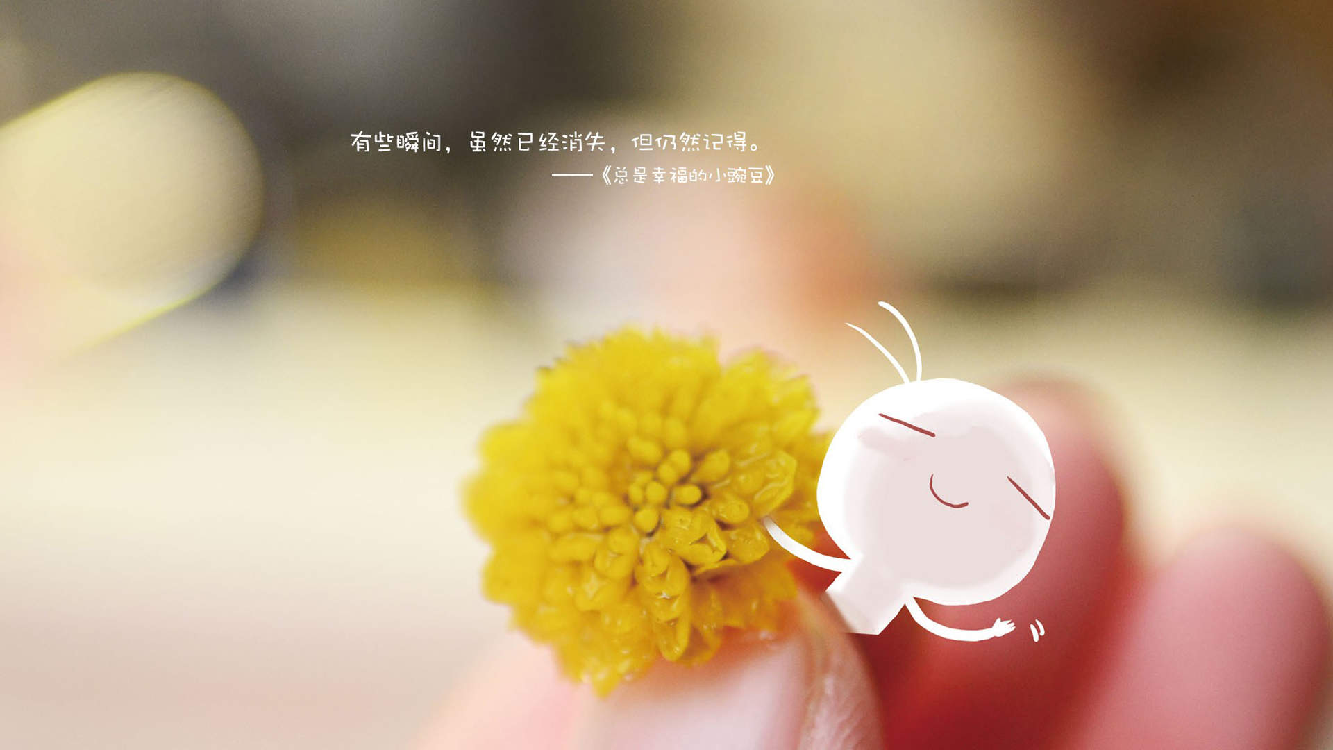 家居装饰风景高清电脑桌面壁纸图片