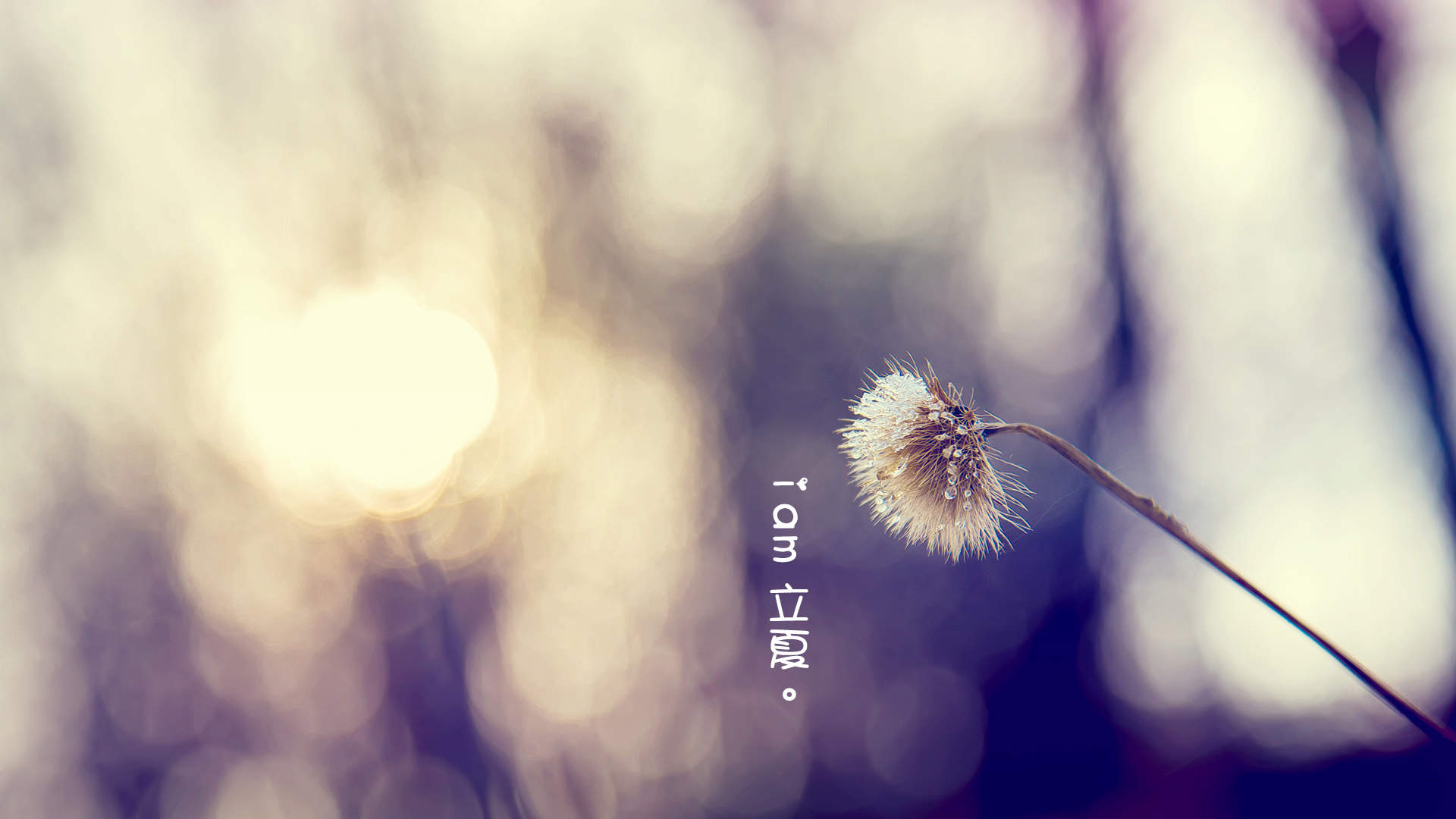 手绘森林木屋旖旎风景桌面壁纸图片
