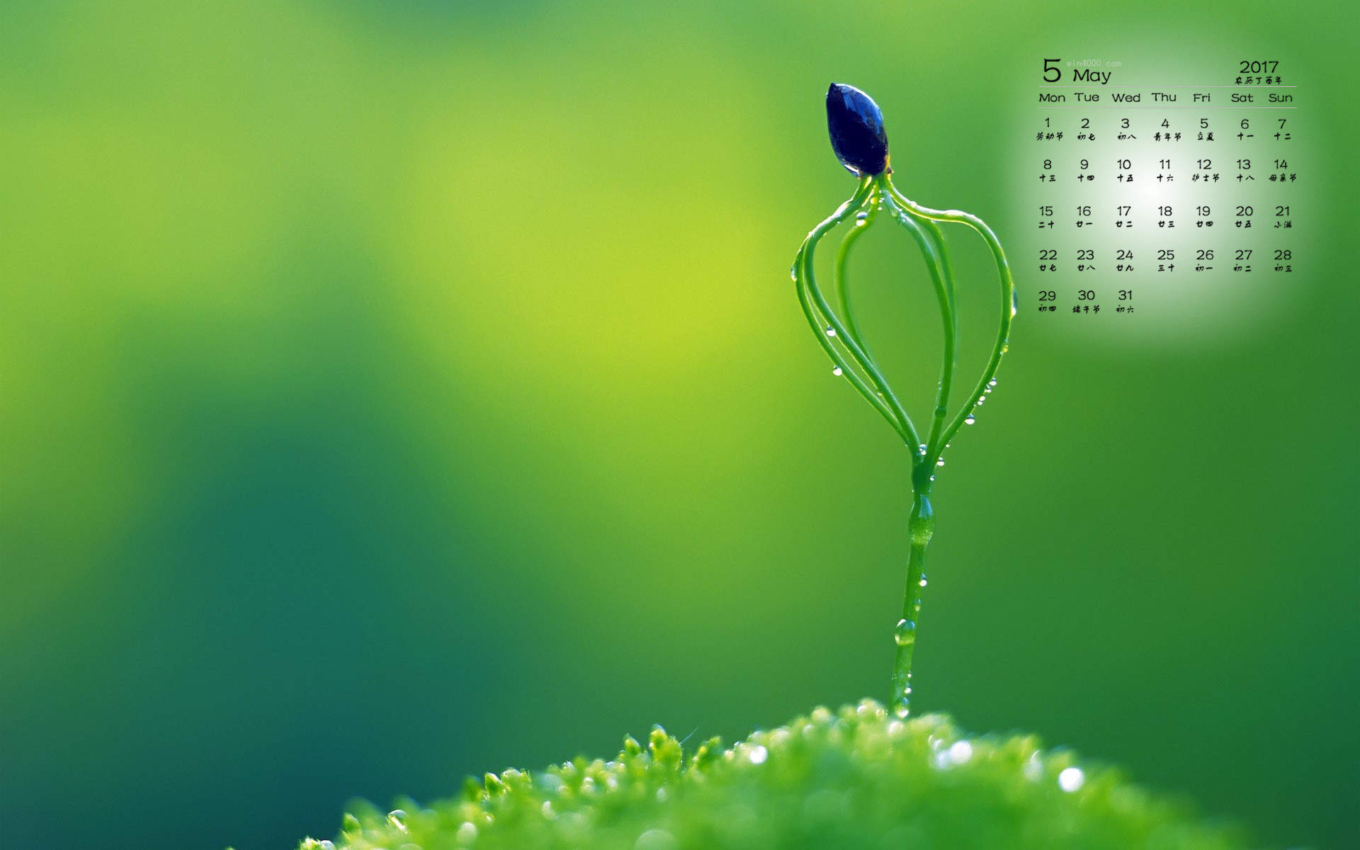 高清雨水2022年绿色水滴护眼高清日历壁纸图片