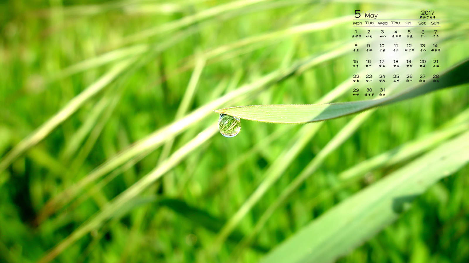 水滴图片