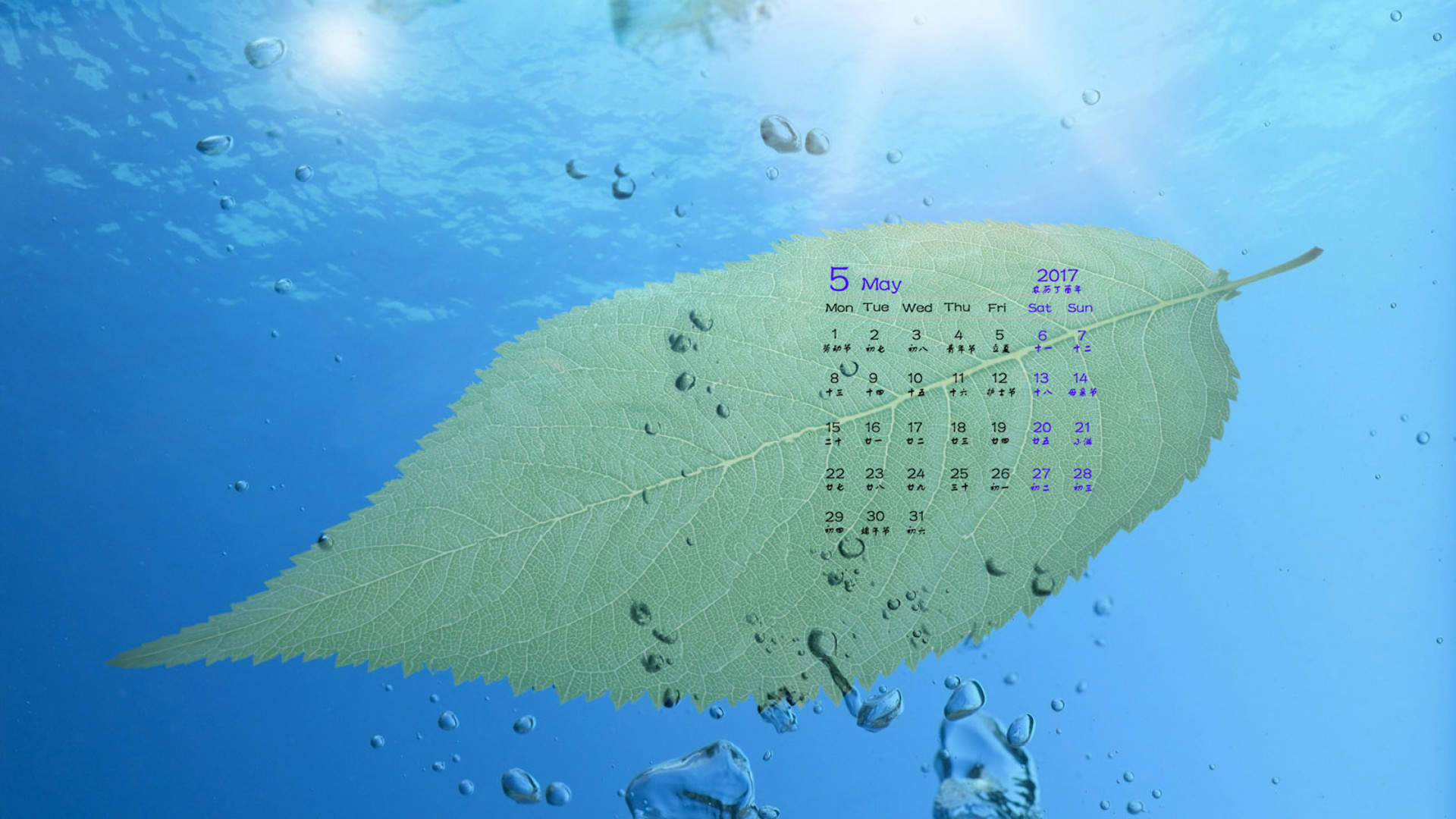 2014年7月日历壁纸清新绿色护眼叶子高清图片(一)图片