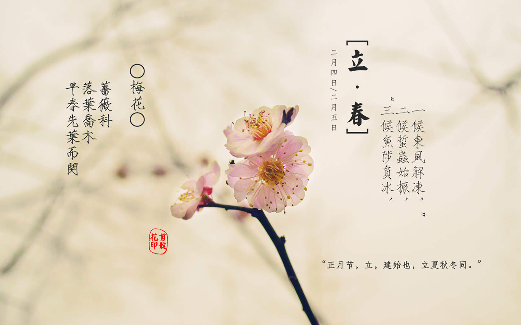 高清中国内地辽宁省沈阳女演员赵今麦学生装写真图片图片