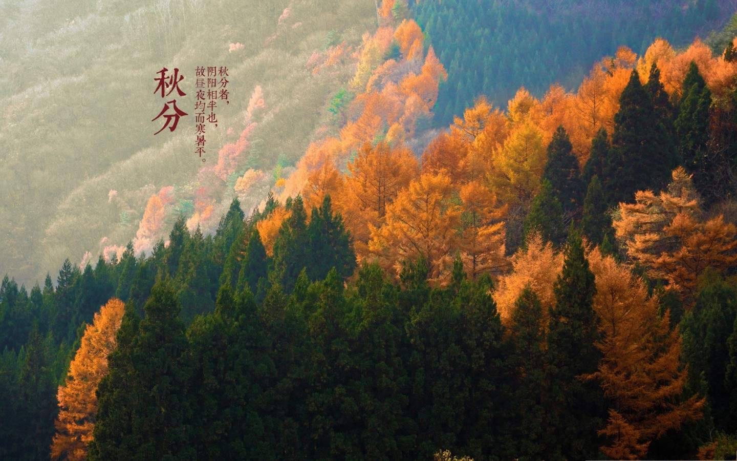 田园风光图片