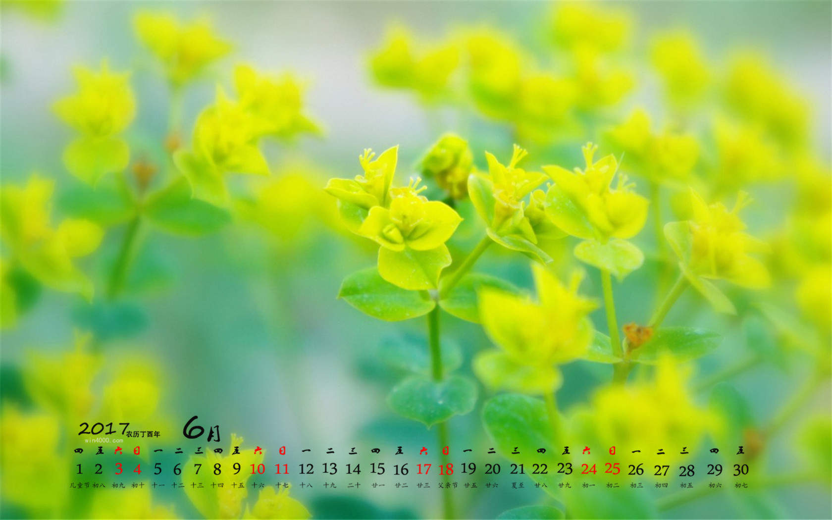 可爱萌娃阿拉蕾杂志封面写真图片