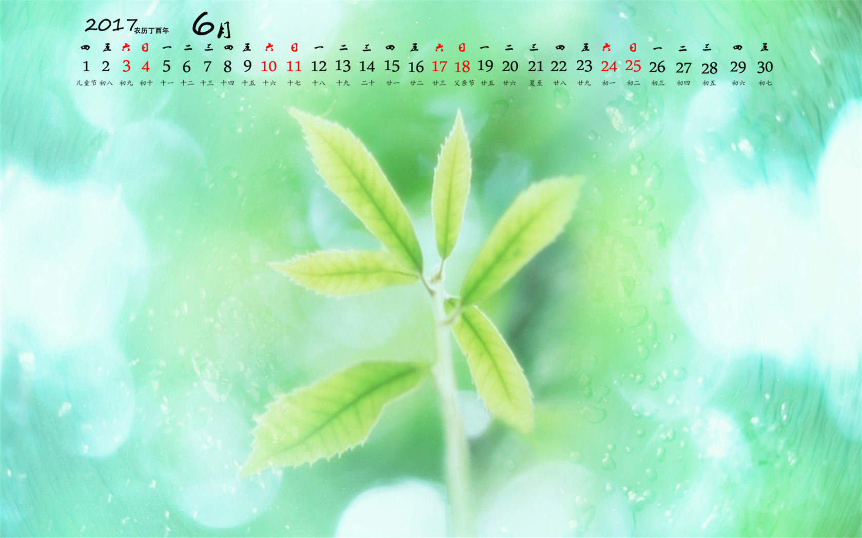 可爱萌娃阿拉蕾杂志封面写真图片