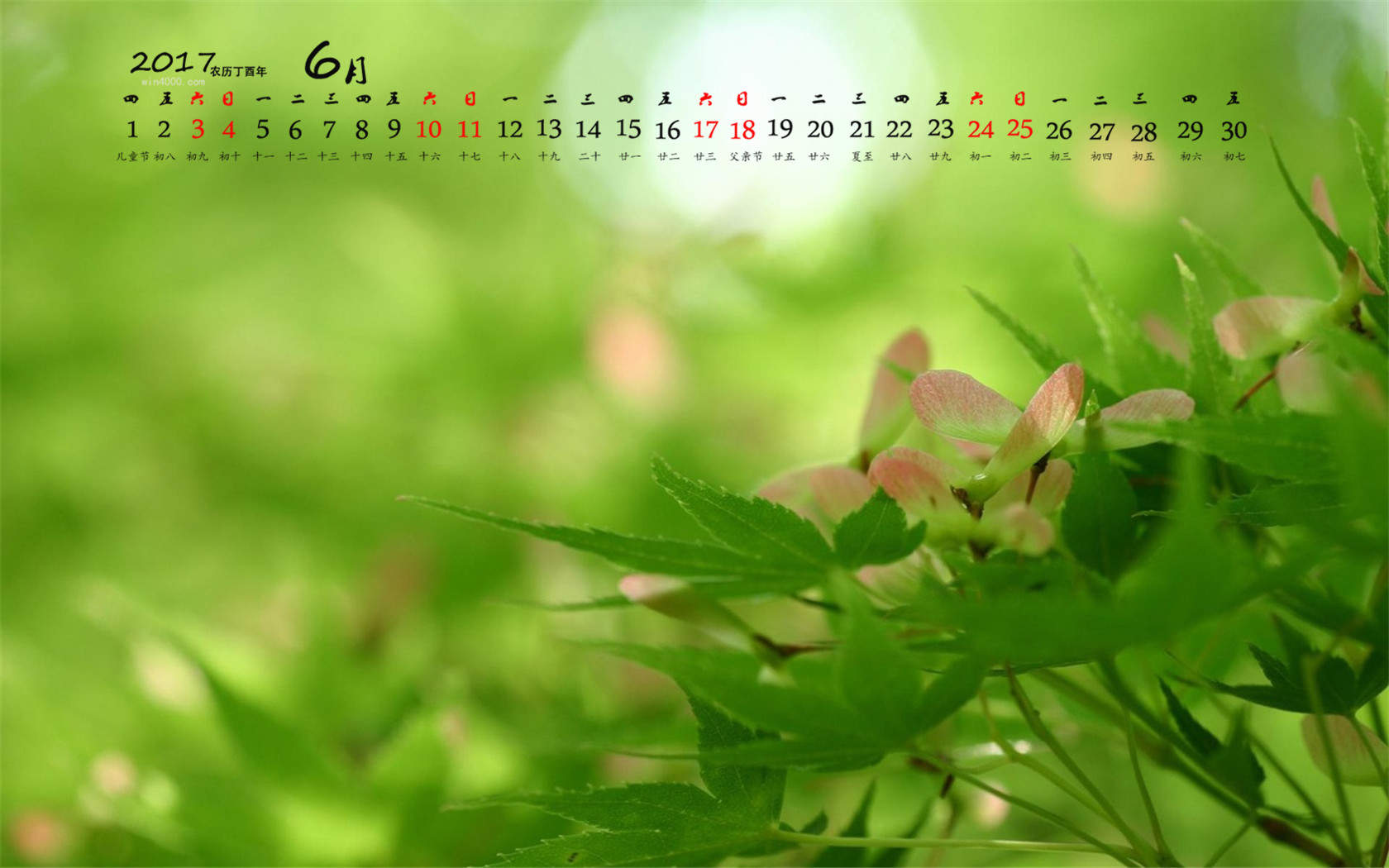 可爱萌娃阿拉蕾杂志封面写真图片