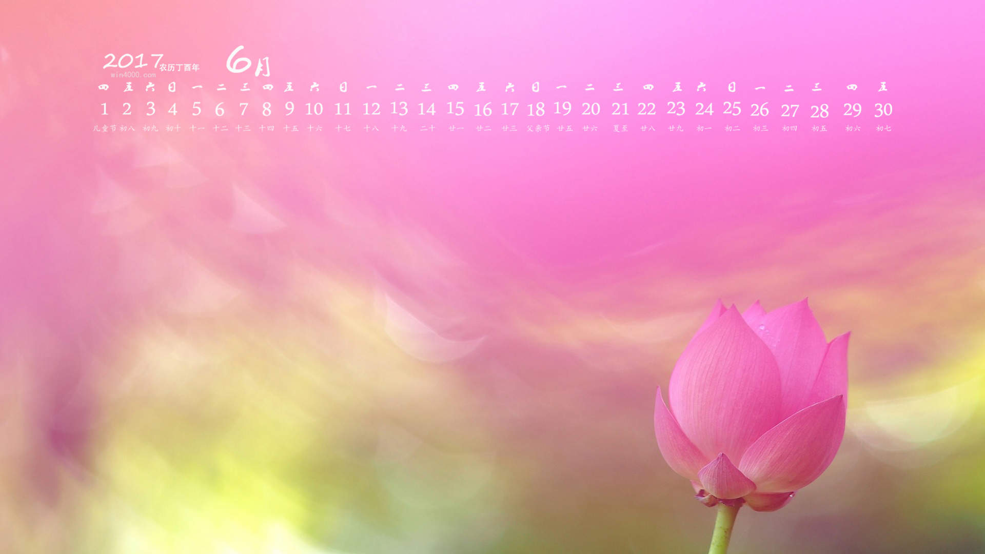 赵雅芝户外花园唯美优雅时尚大片写真图片