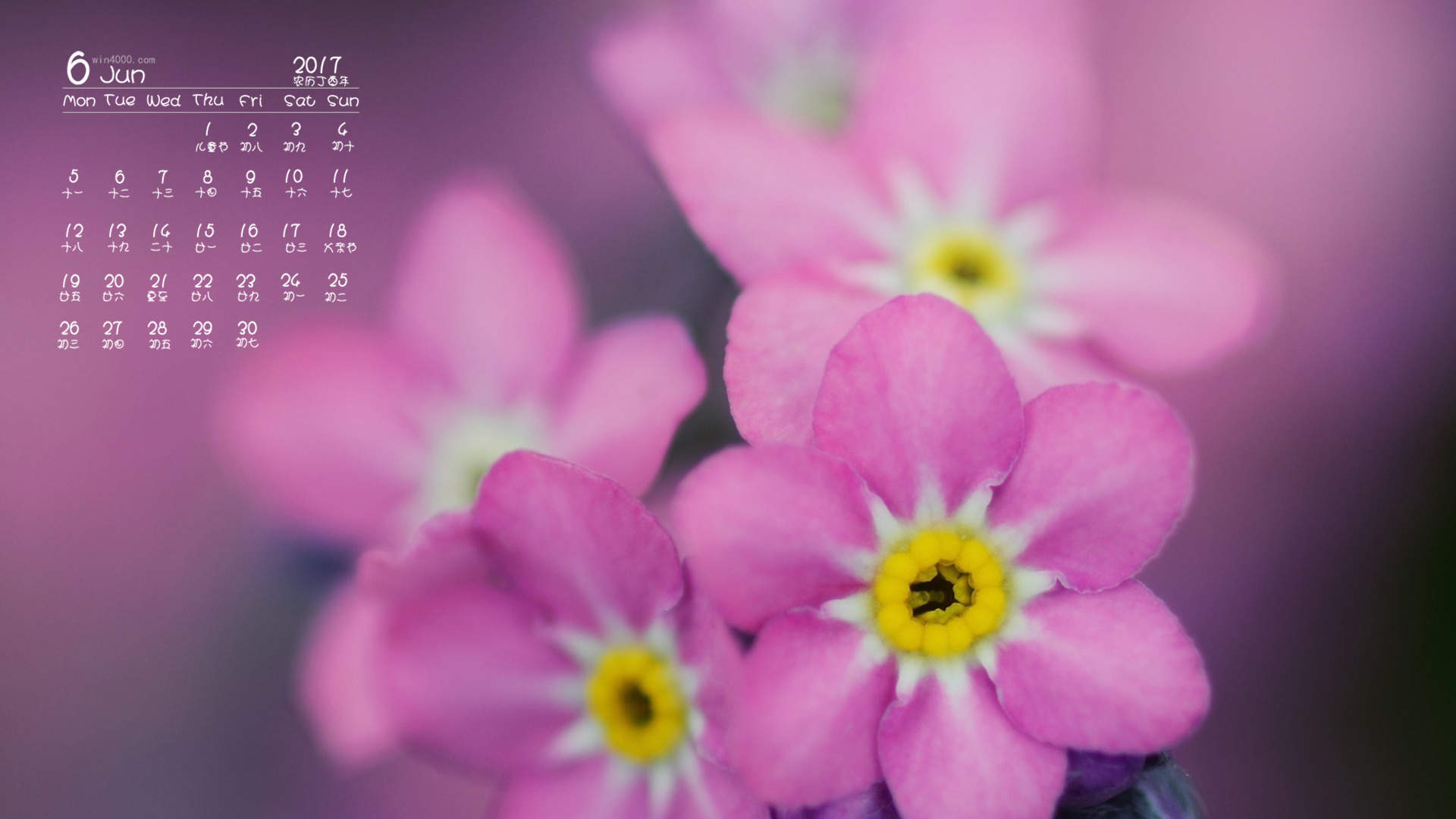 赵雅芝户外花园唯美优雅时尚大片写真图片