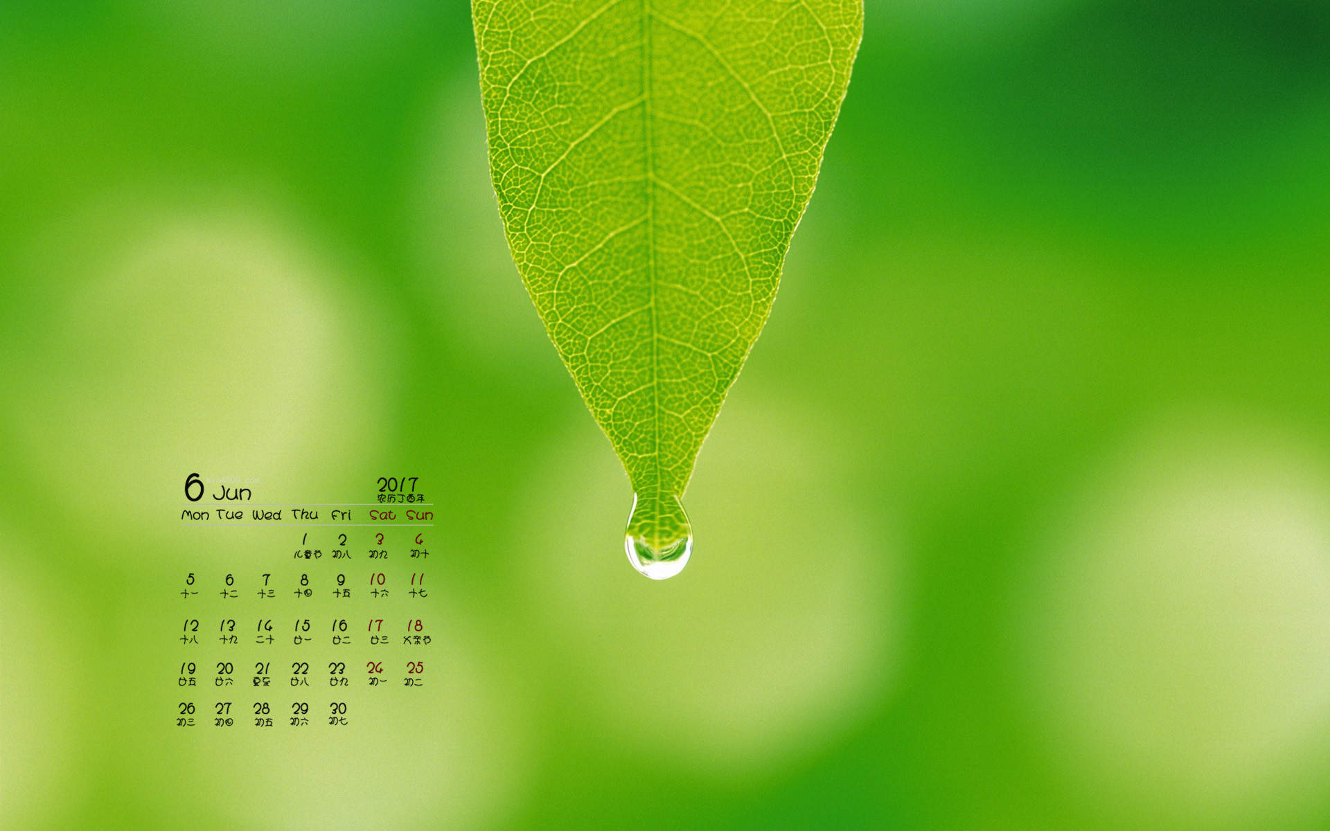 高清雨水2022年8月日历壁纸绿色护眼青草水滴日历桌面壁纸图片