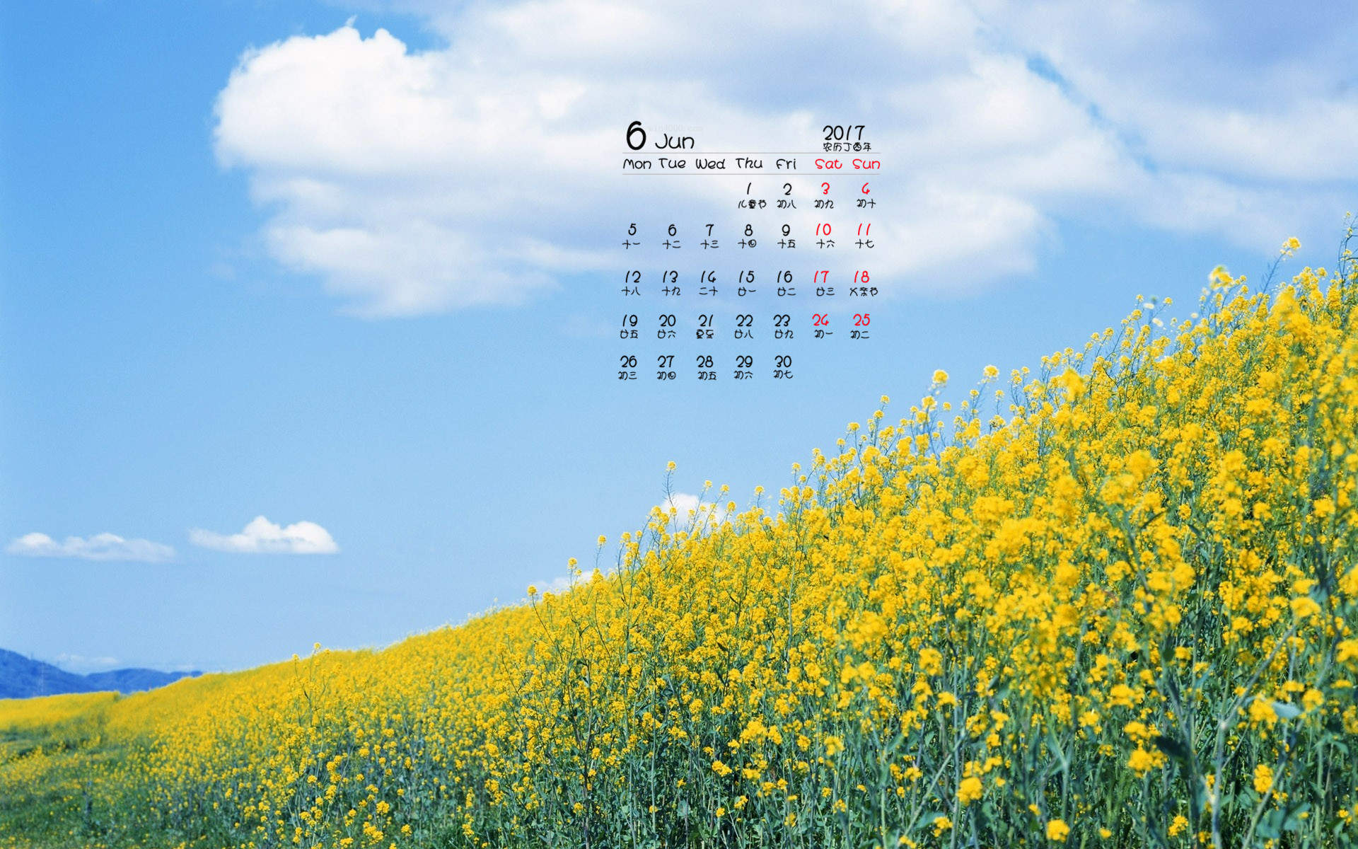 2017年6月唯美好看的樱花高清电脑桌面日历壁纸图片