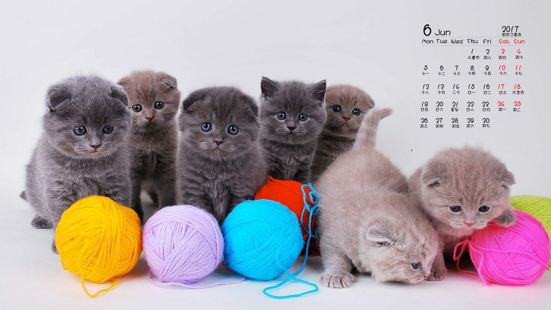 可爱卡通小猫咪高清图片手机壁纸图片