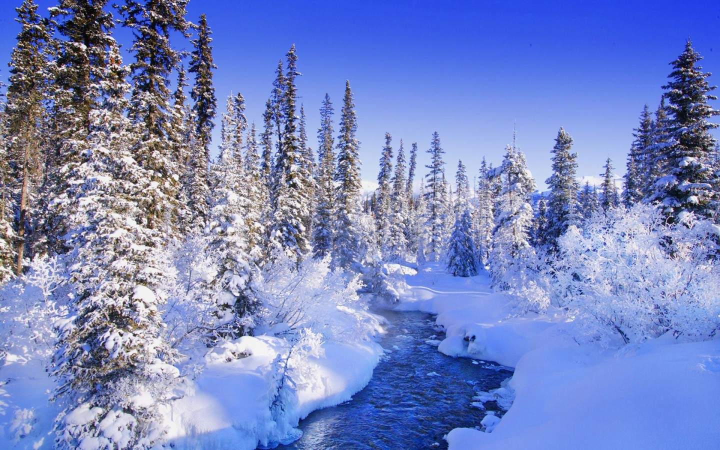 郑秀妍日本函馆冬日雪景唯美写真图片图片