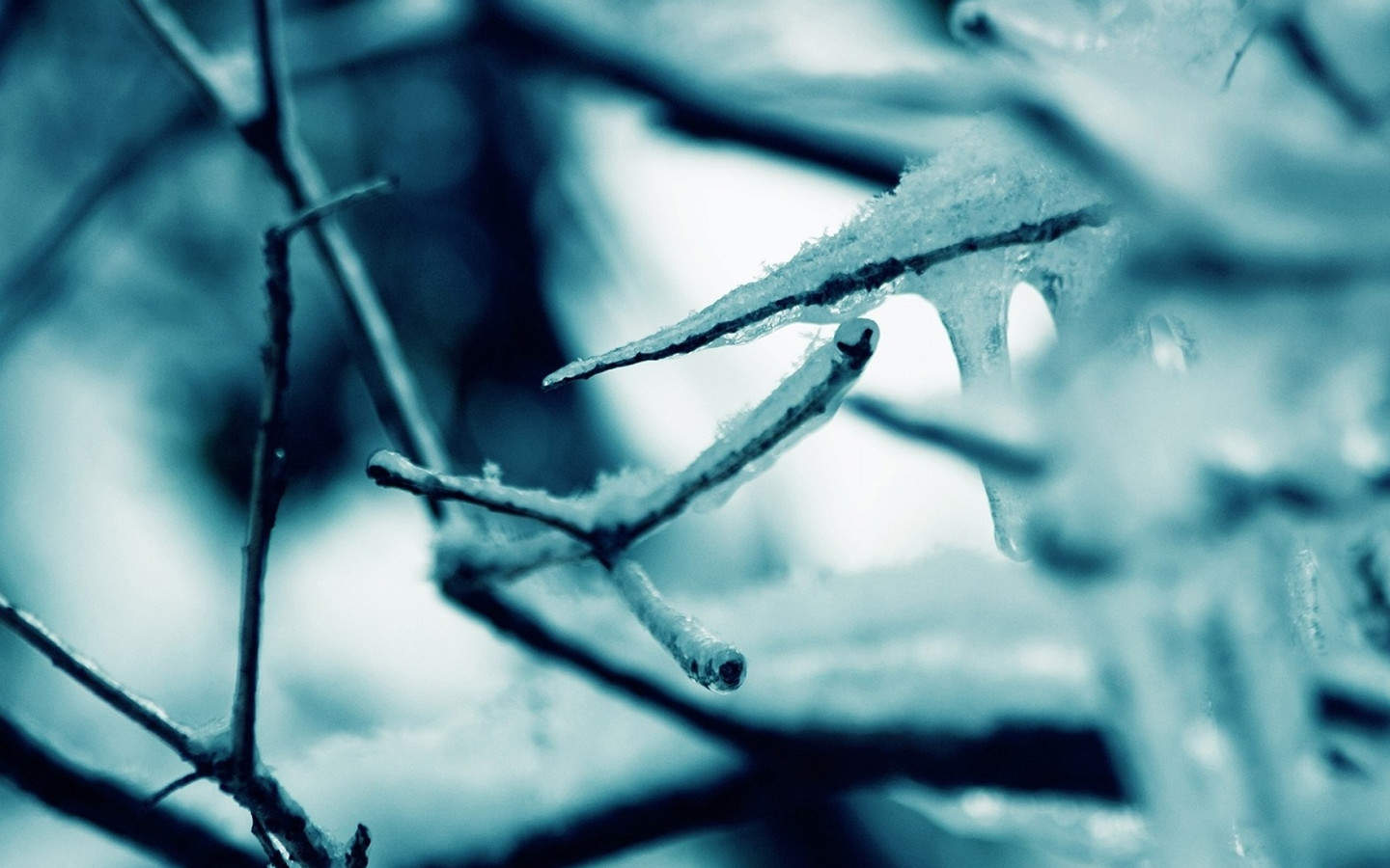 郑秀妍日本函馆冬日雪景唯美写真图片图片