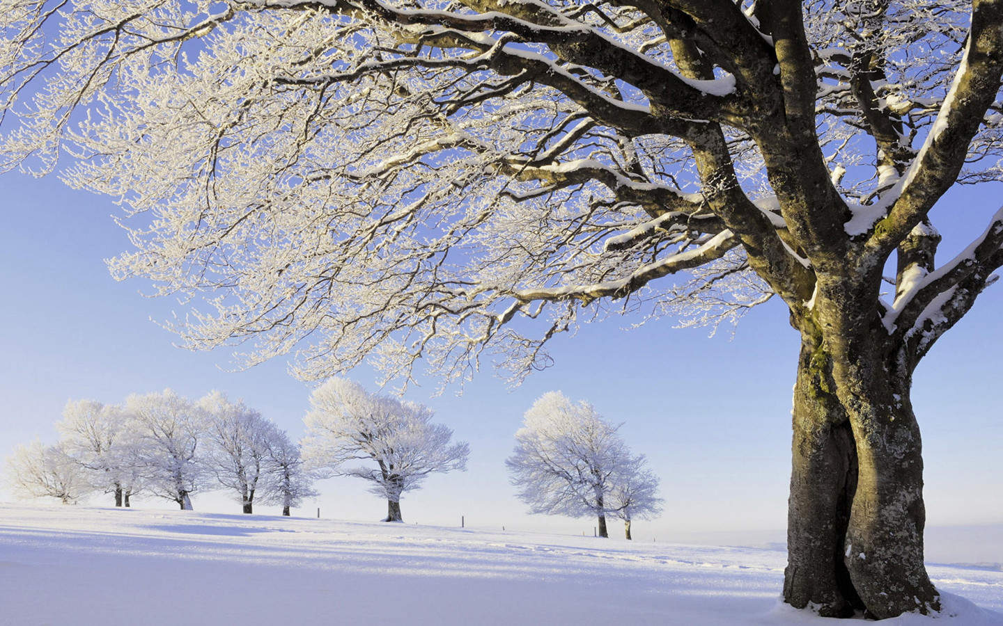 郑秀妍日本函馆冬日雪景唯美写真图片图片