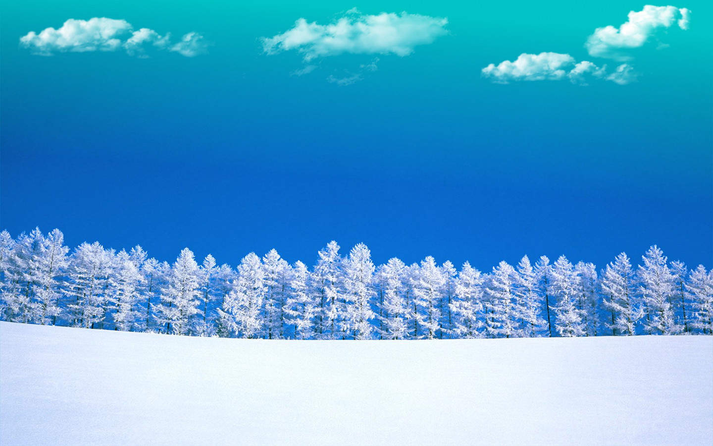 郑秀妍日本函馆冬日雪景唯美写真图片图片