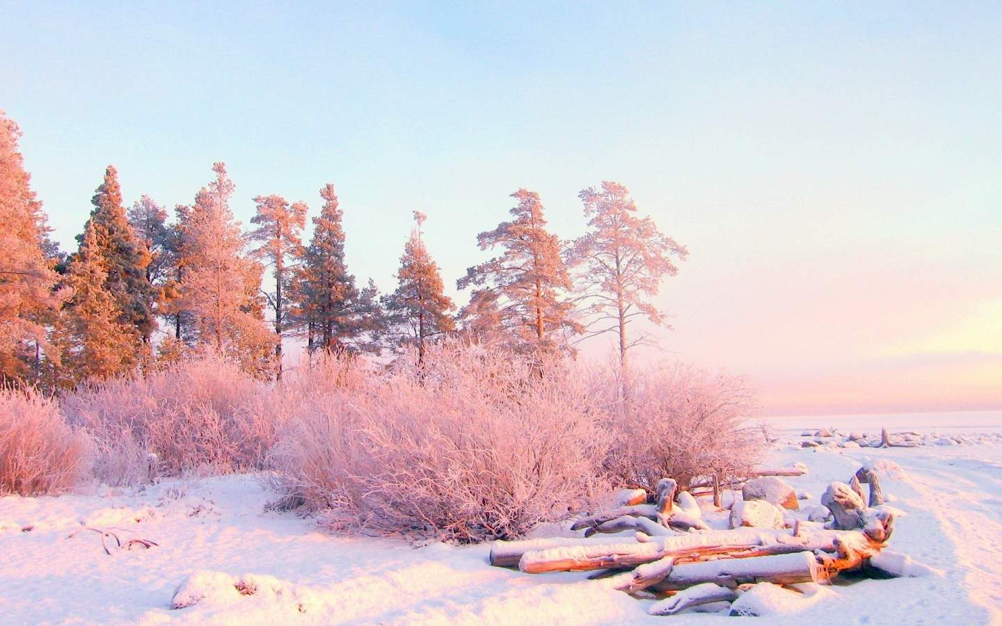 郑秀妍日本函馆冬日雪景唯美写真图片图片