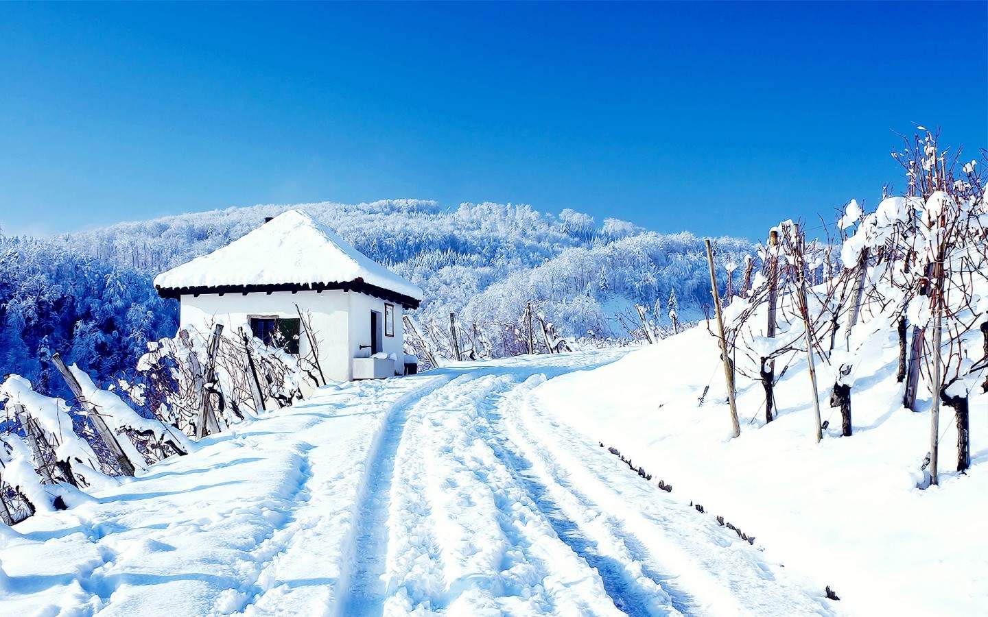 24节气立冬唯美冬日雪景桌面壁纸图片