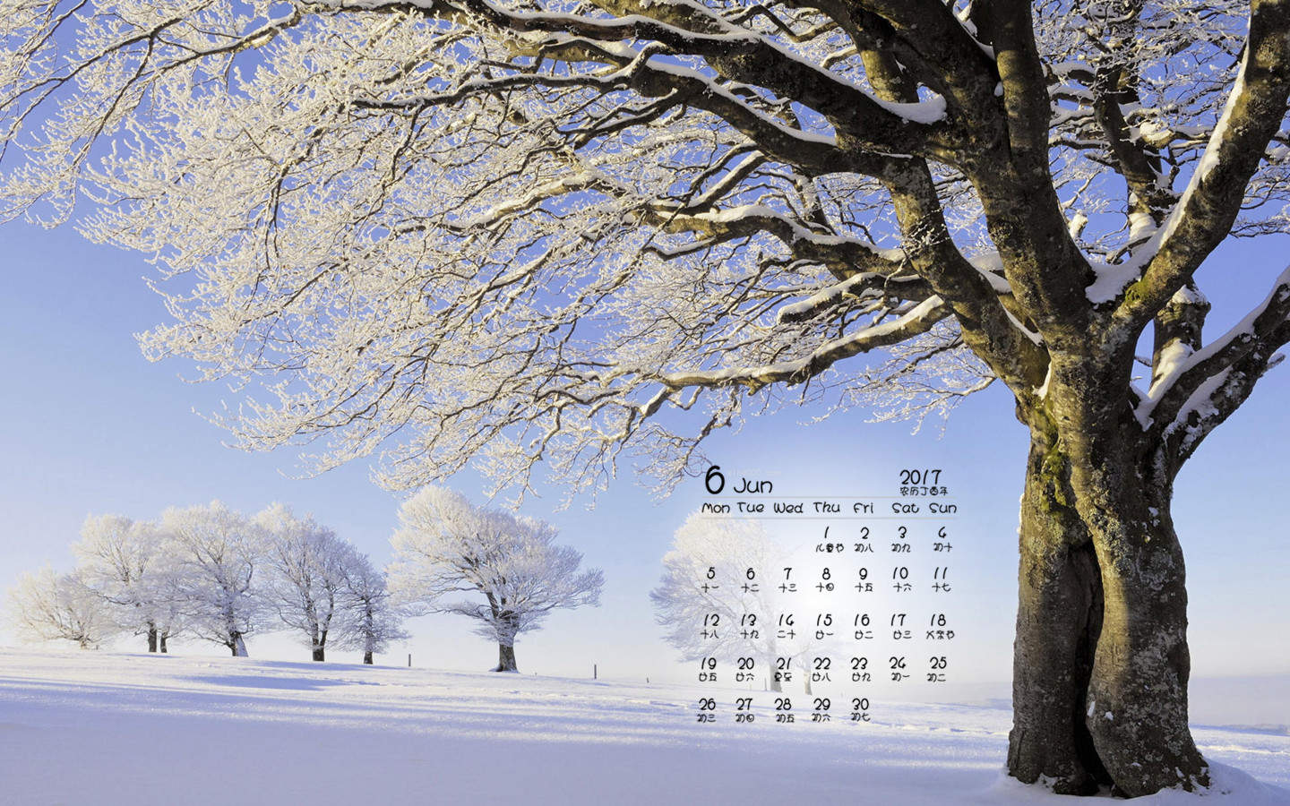 郑秀妍日本函馆冬日雪景唯美写真图片图片