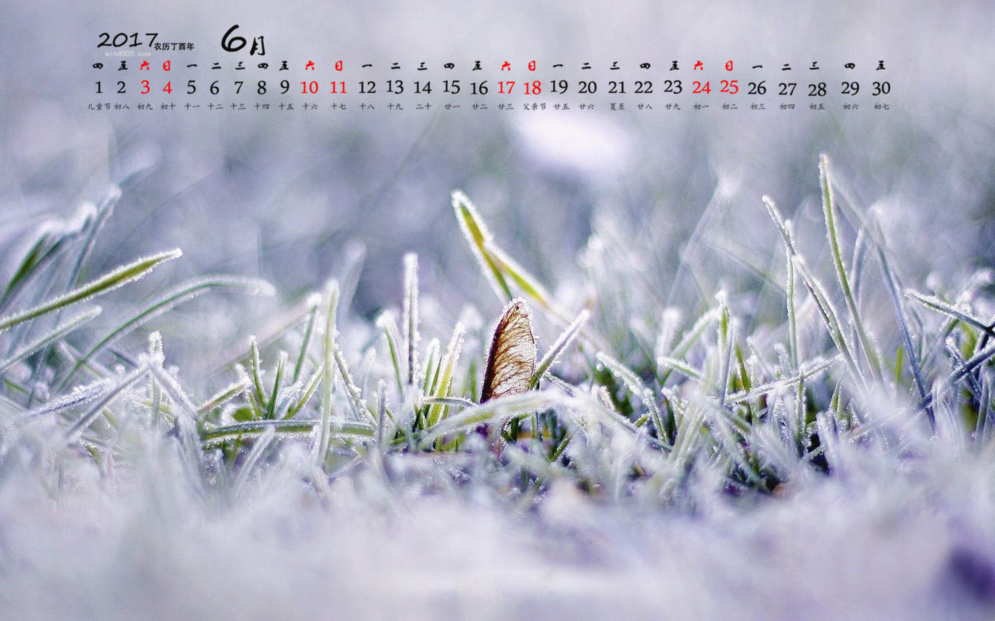 郑秀妍日本函馆冬日雪景唯美写真图片图片