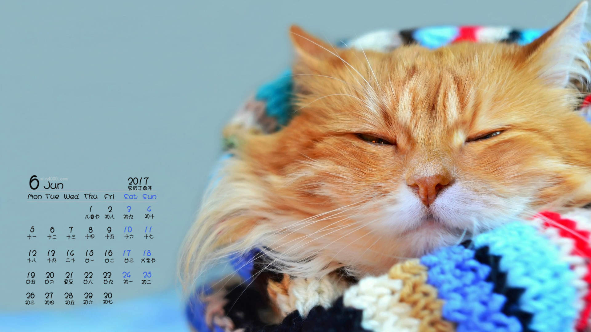 90后性感小猫咪写真图片