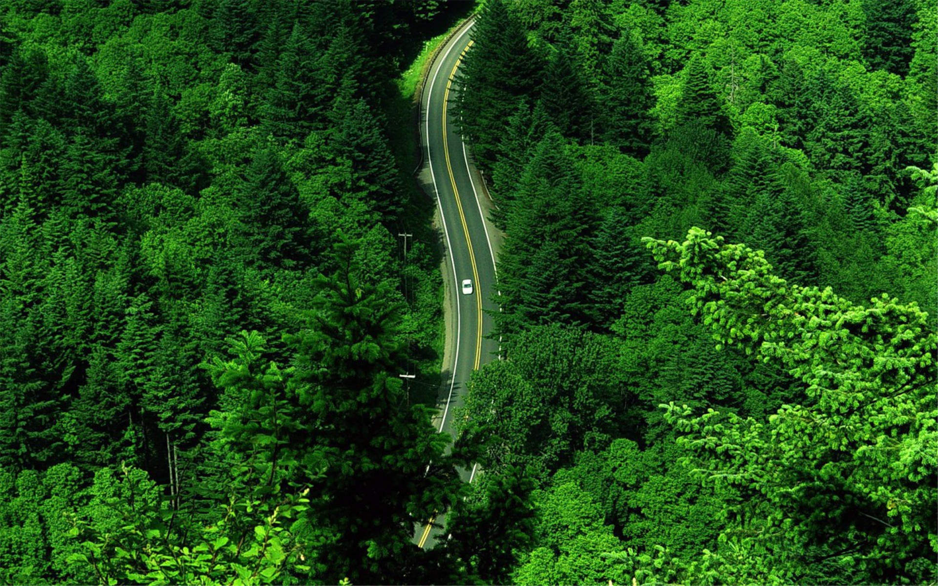 田园风光图片