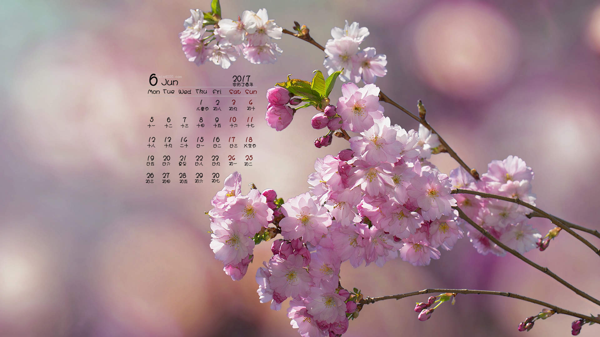 2017年6月唯美好看的樱花高清电脑桌面日历壁纸图片