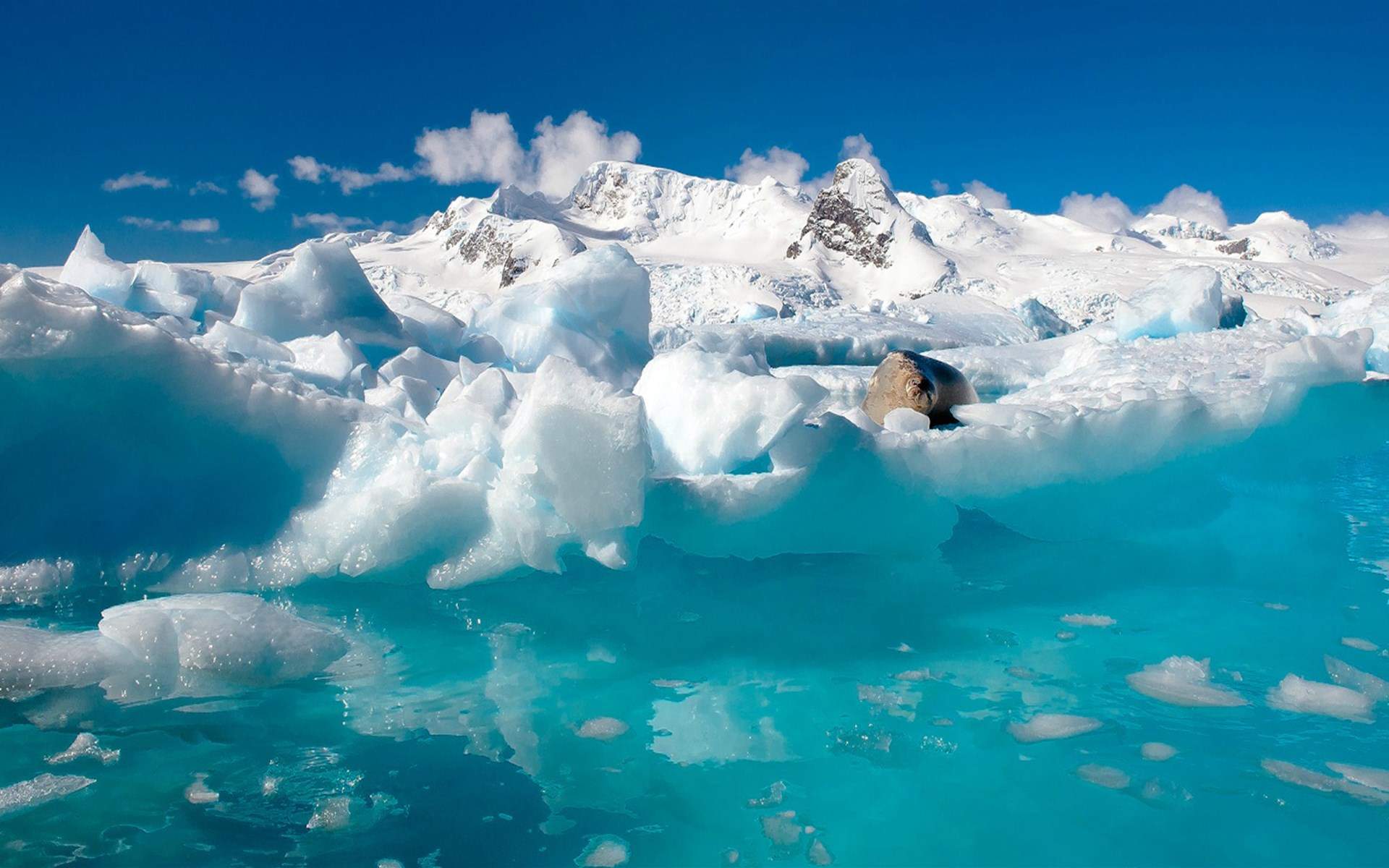 郑秀妍日本函馆冬日雪景唯美写真图片图片