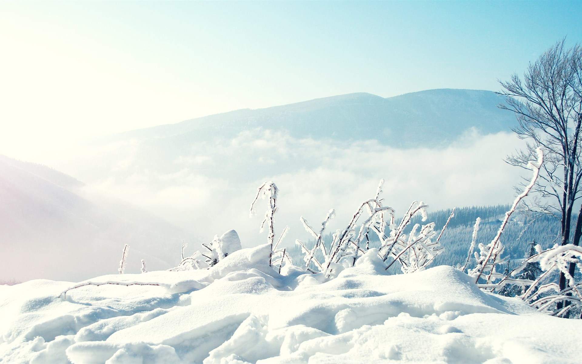 郑秀妍日本函馆冬日雪景唯美写真图片图片
