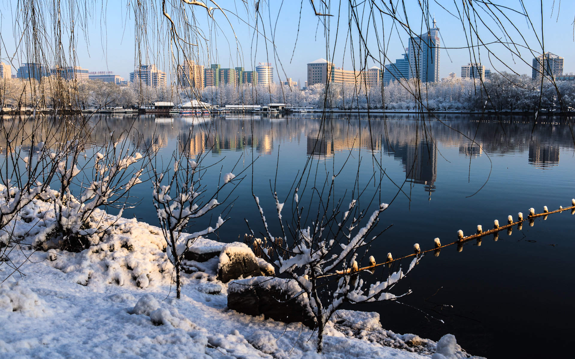 雪景桌面图片