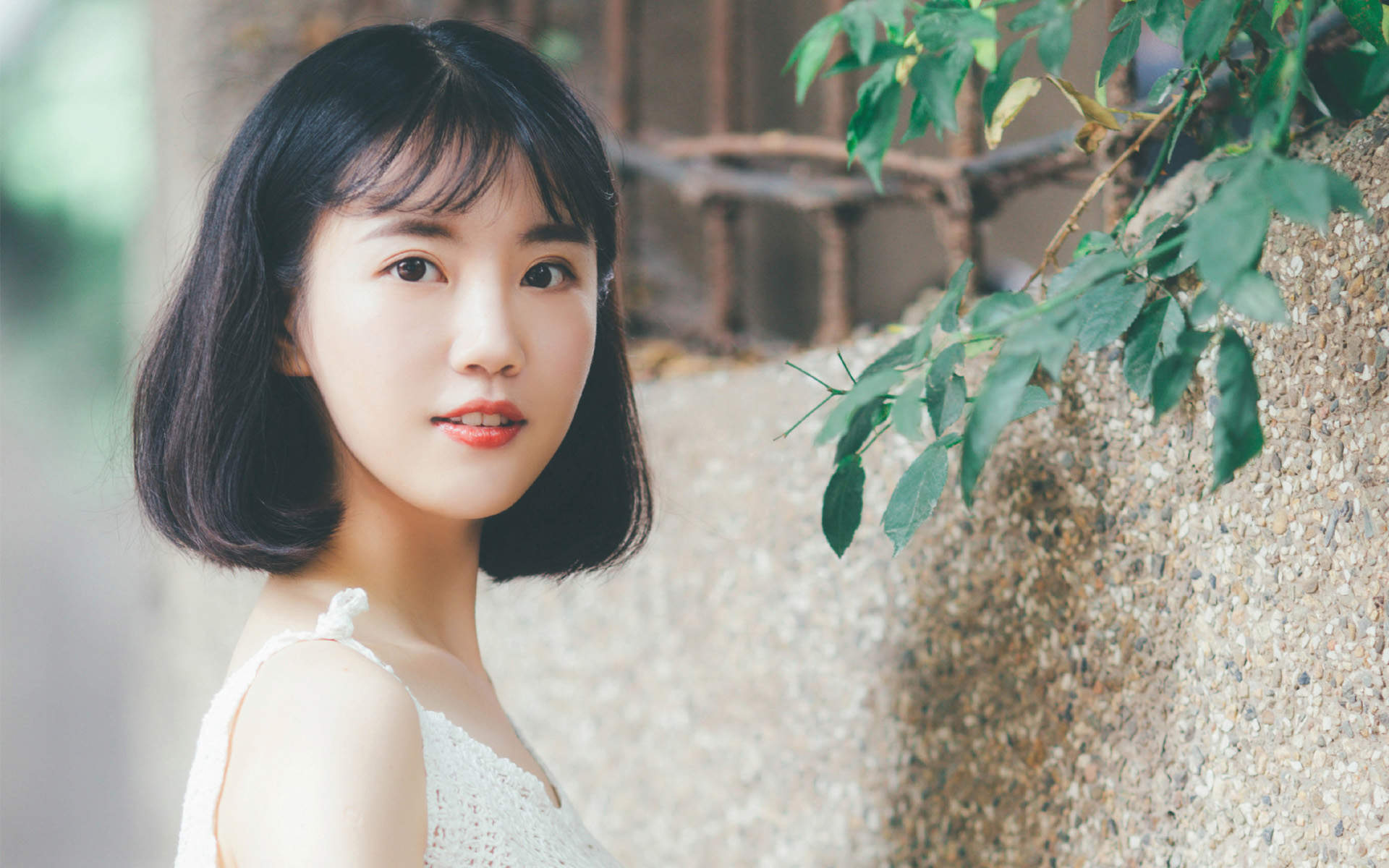 日系小清新唯美静物手机壁纸图片图片