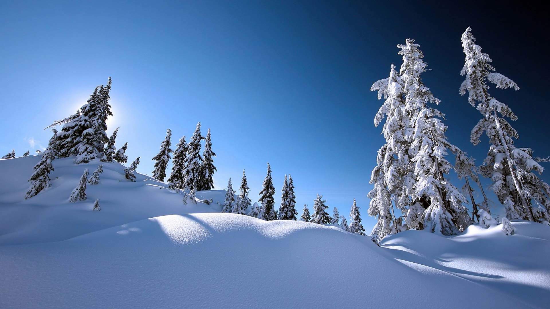 风景白雪图片