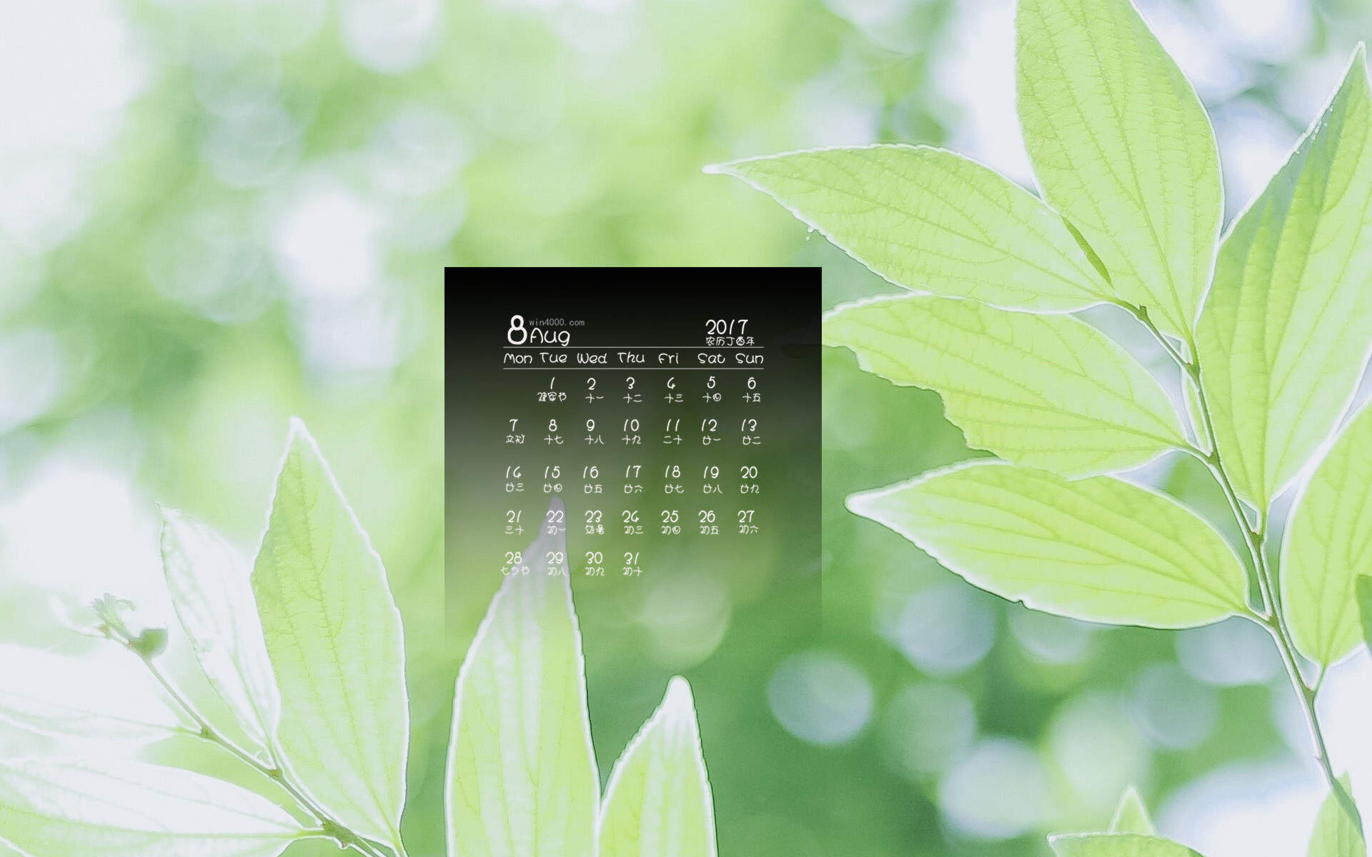 秋日日系小清新风景高清手机壁纸图片
