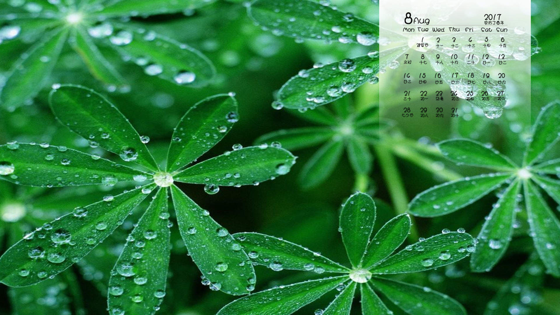 2017年1月柔和美丽风景高清日历壁纸图片