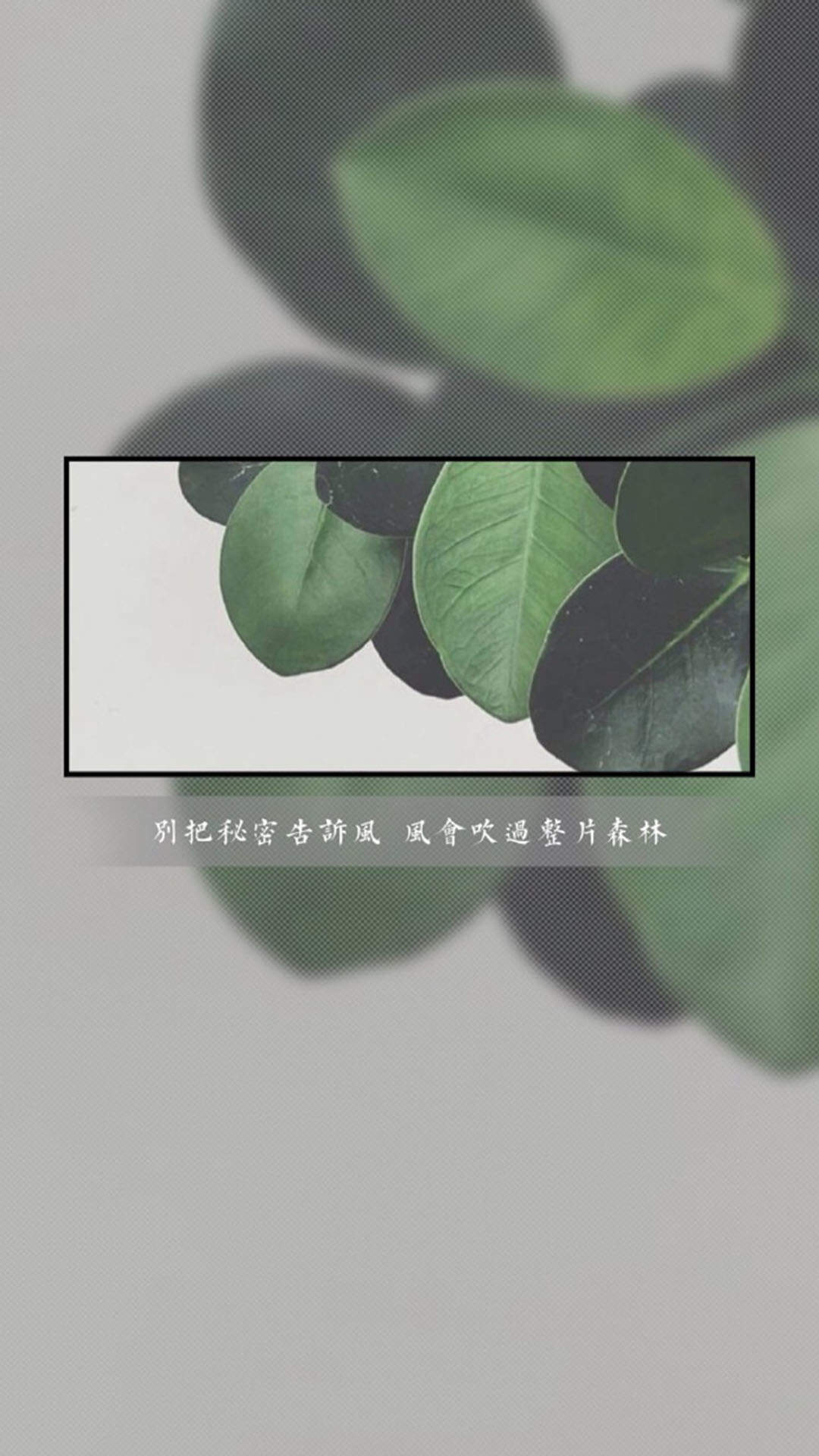 文字控图片