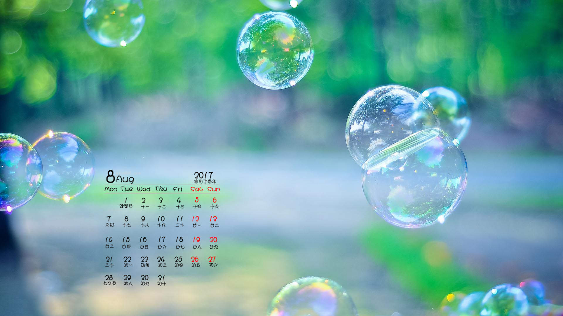 日系小清新唯美静物手机壁纸图片图片