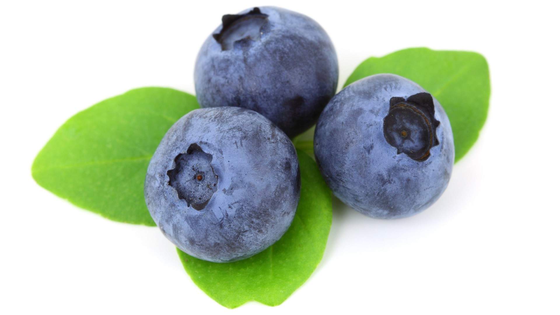 笨笨鼠2020美食主题蓝莓蛋糕鼠年手机壁纸图片