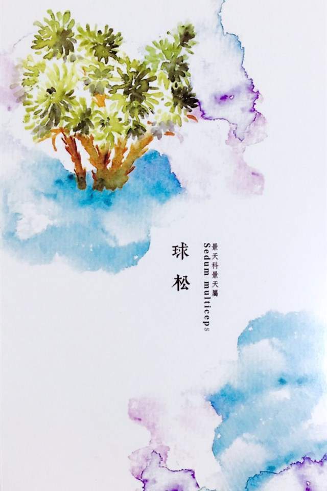 植物水彩艺术插画手机壁纸图片