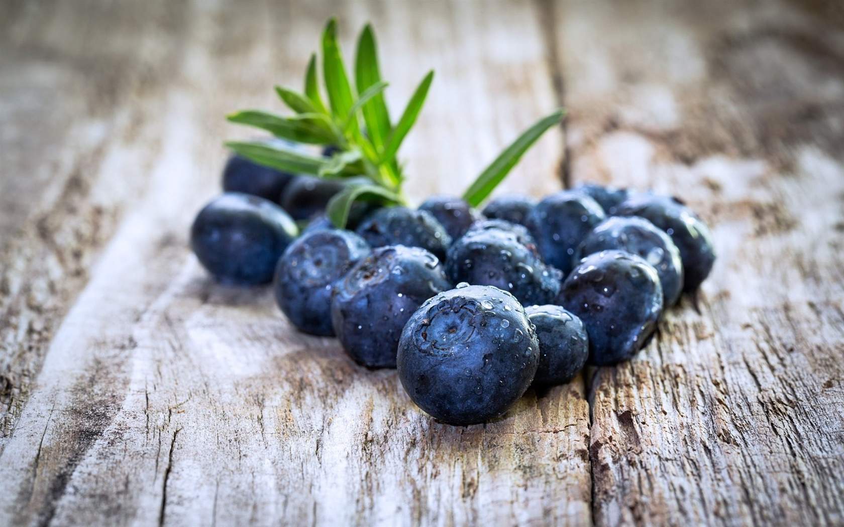 笨笨鼠2020美食主题蓝莓蛋糕鼠年手机壁纸图片