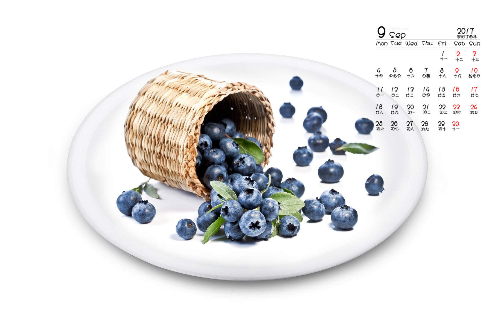 笨笨鼠2020美食主题蓝莓蛋糕鼠年手机壁纸图片