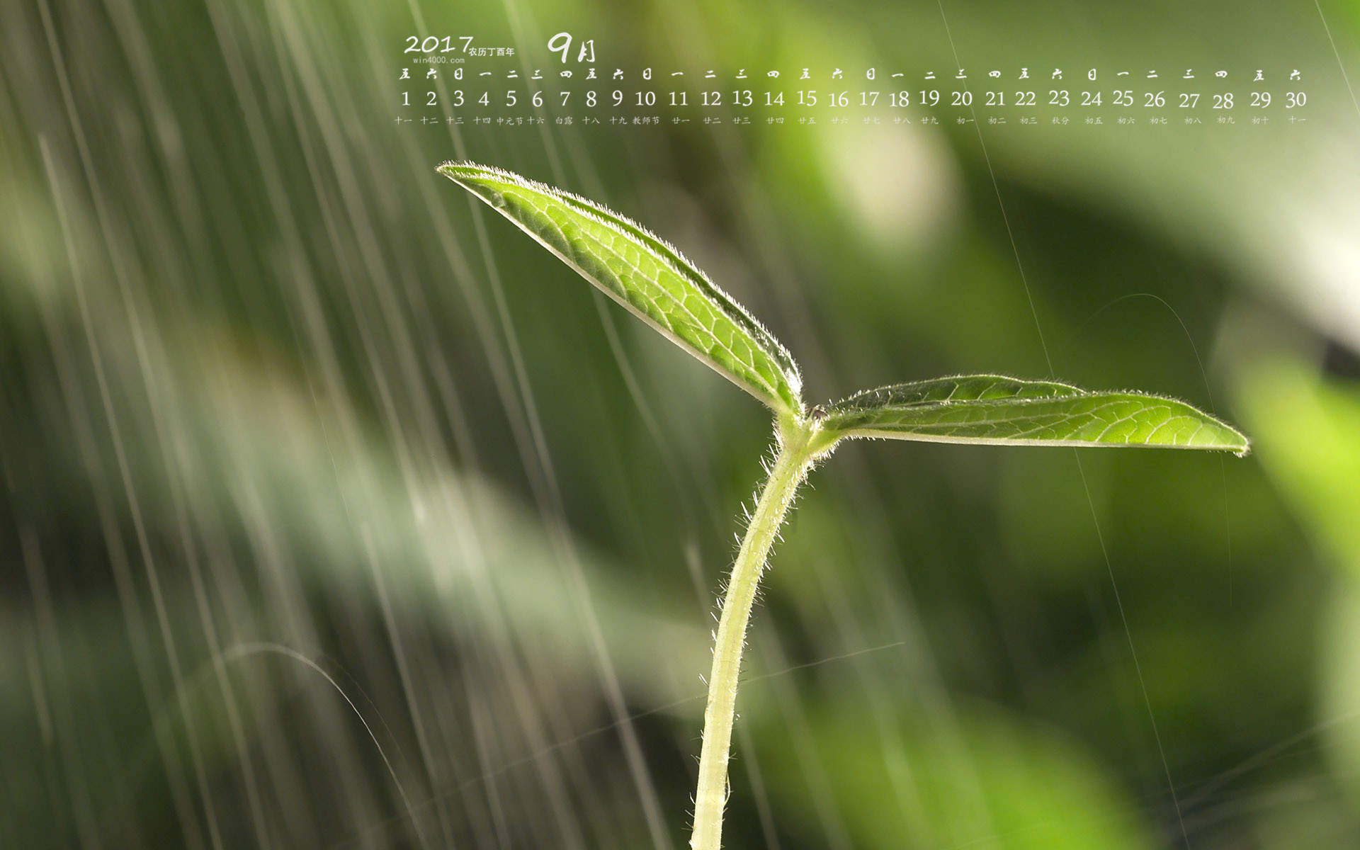 2019年11月赵丽颖魅力写真日历壁纸图片