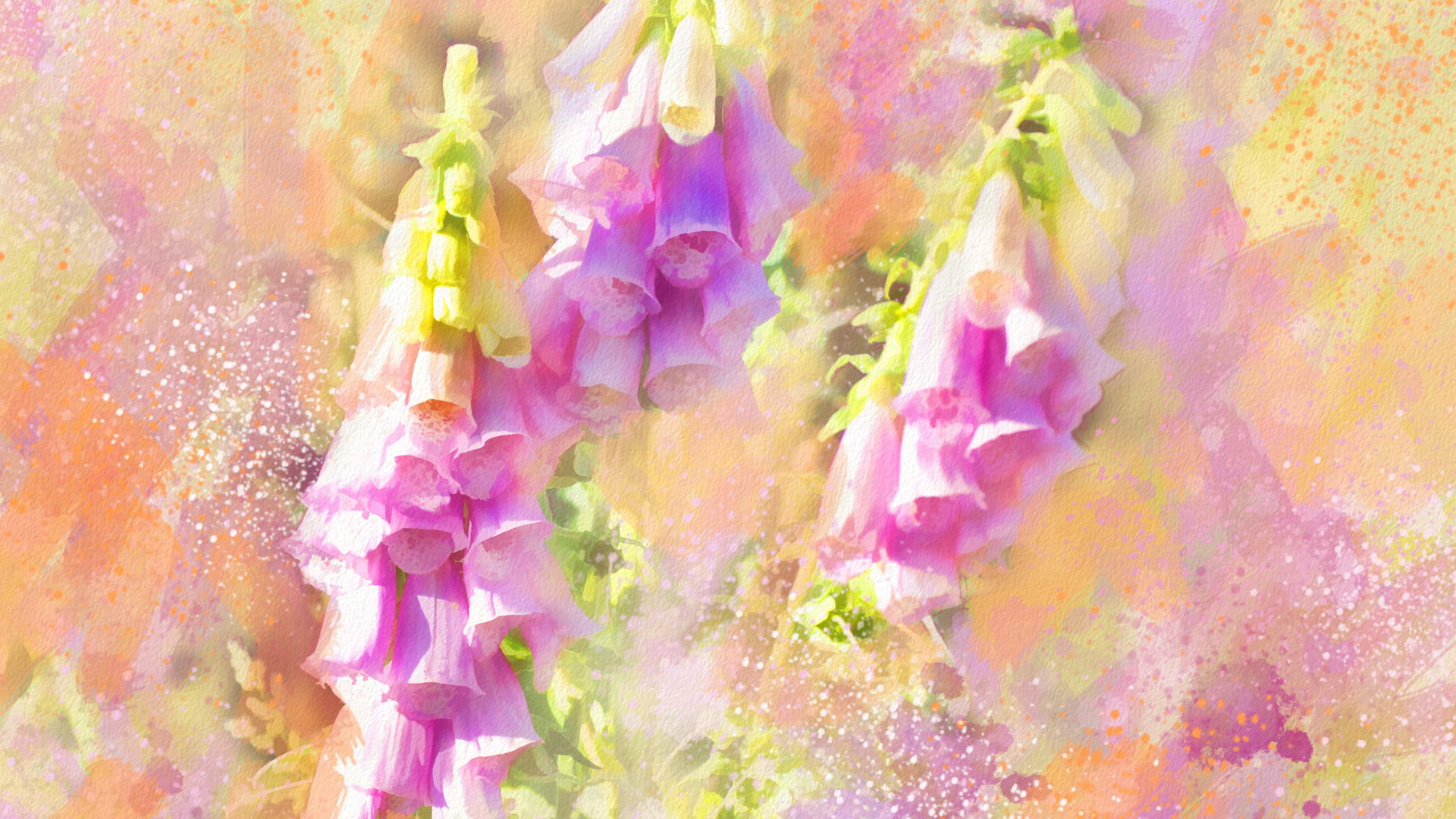 度薇年水彩手绘花环小清新插画图片图片