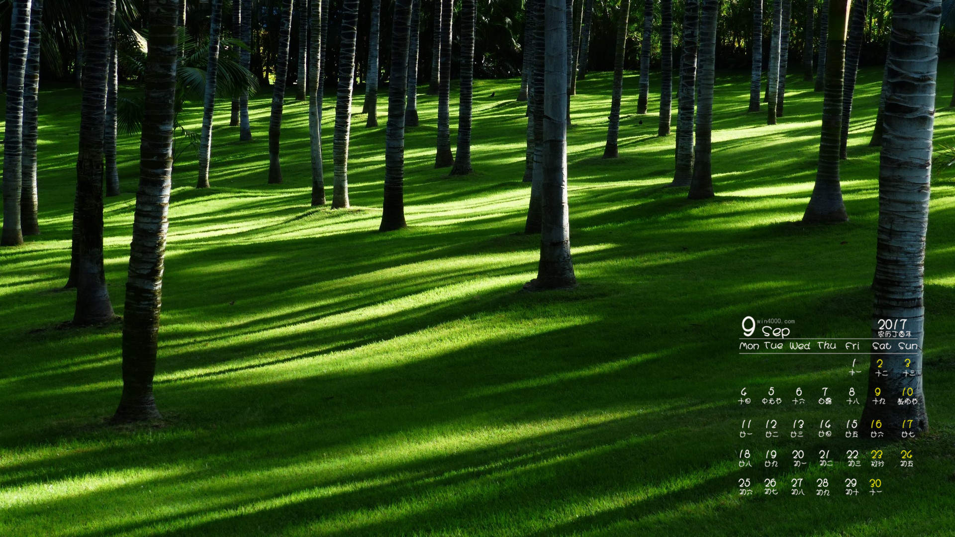 淡雅居家唯美小清新桌面壁纸图片