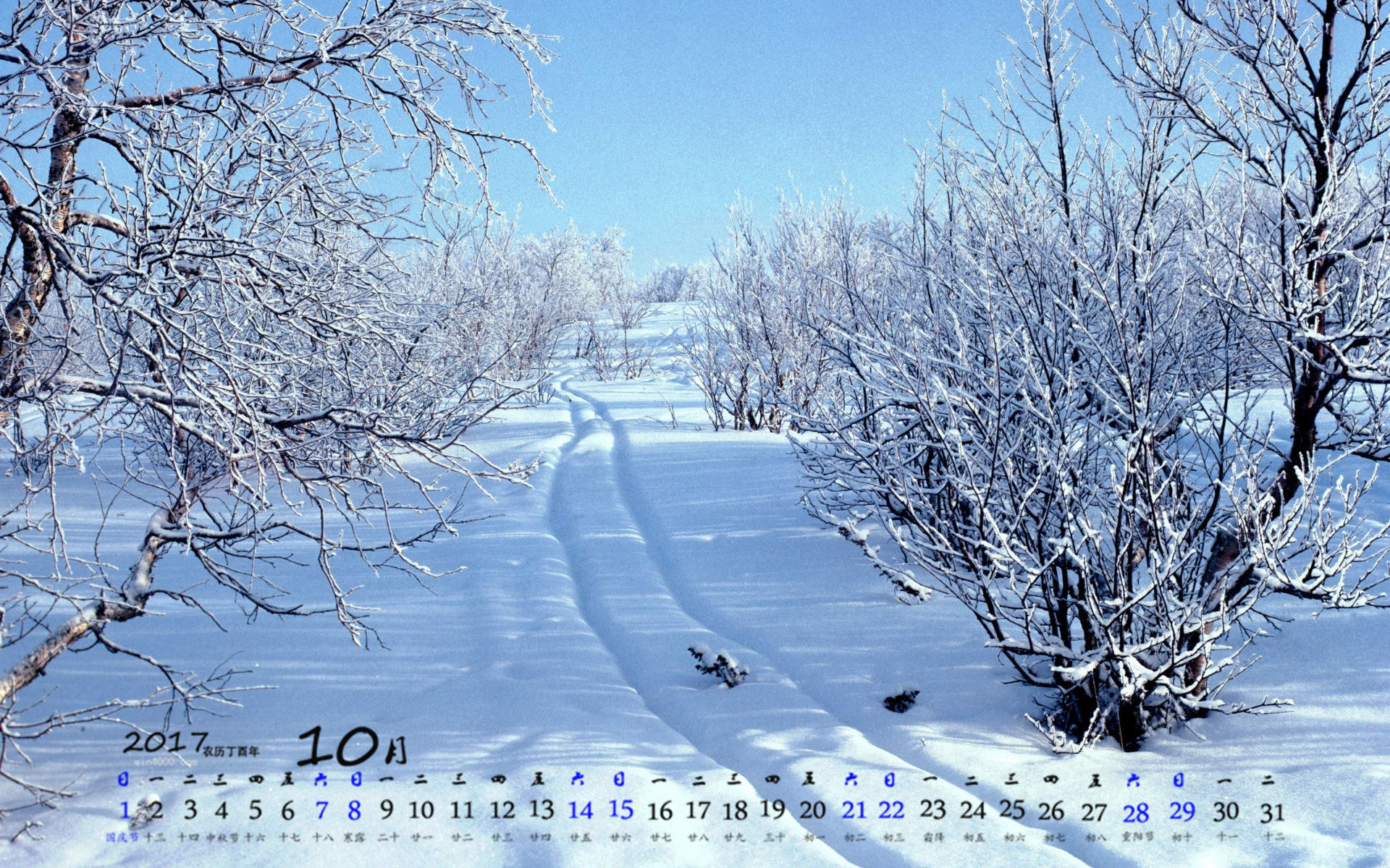 郑秀妍日本函馆冬日雪景唯美写真图片图片