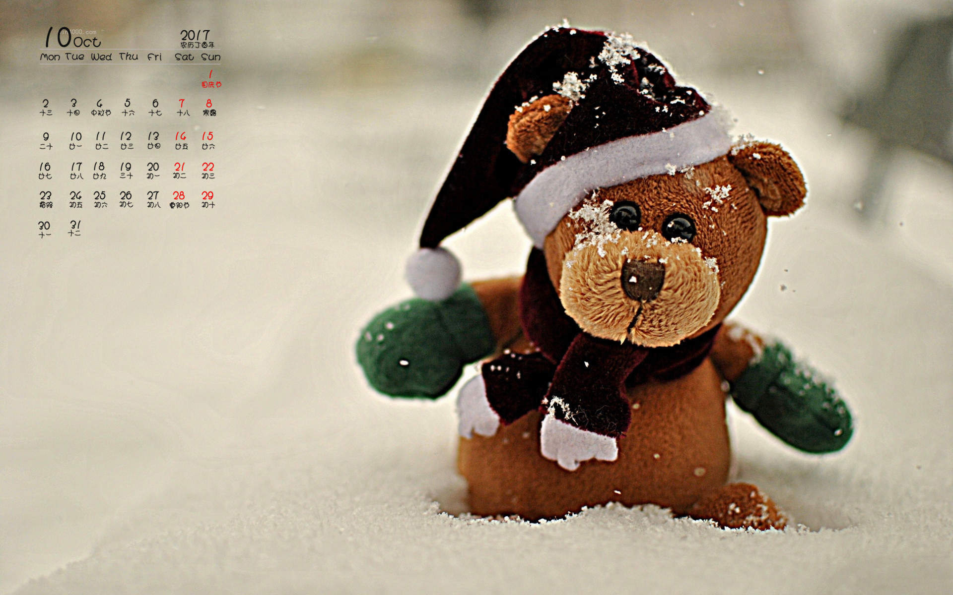 郑秀妍日本函馆冬日雪景唯美写真图片图片