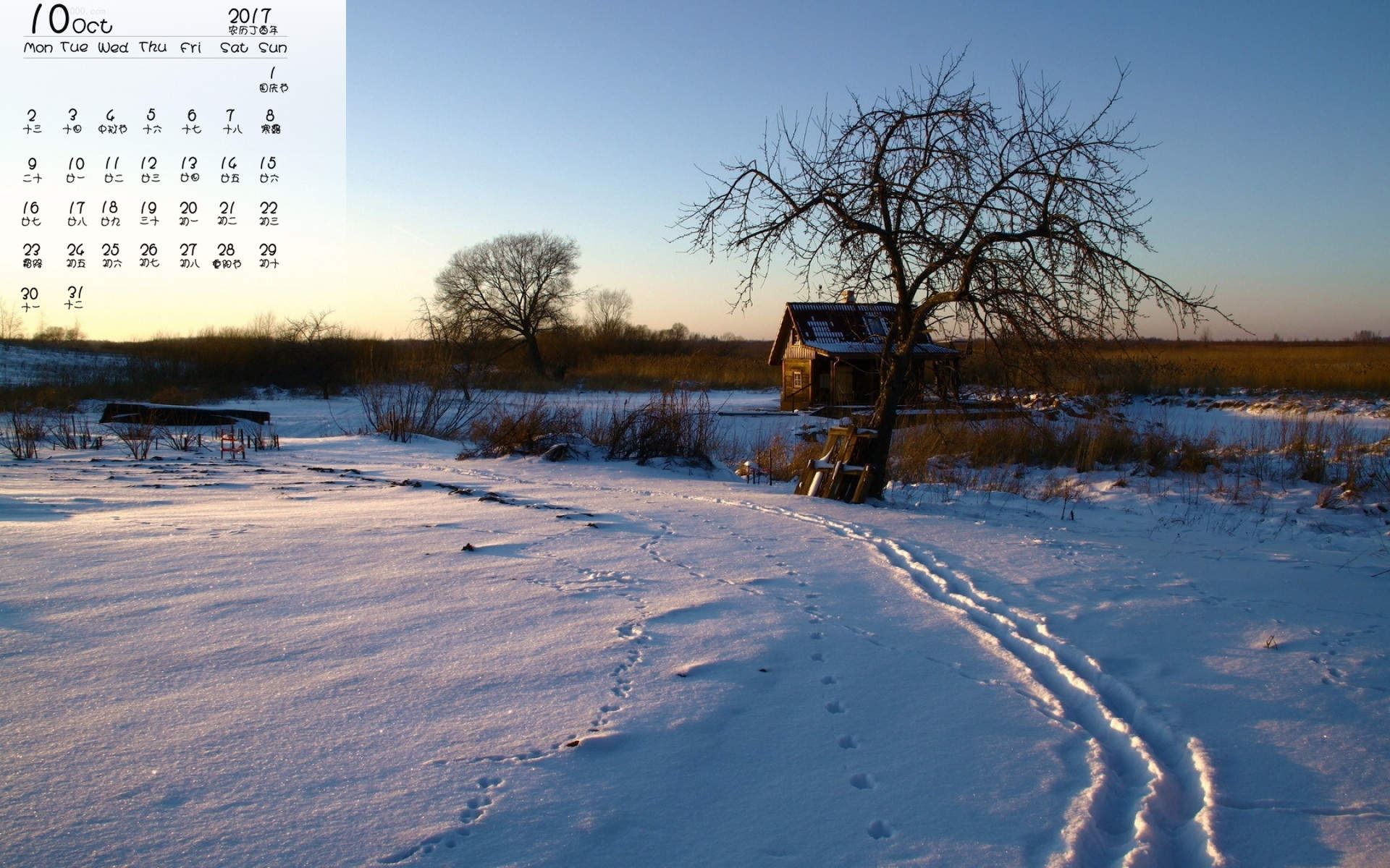 郑秀妍日本函馆冬日雪景唯美写真图片图片