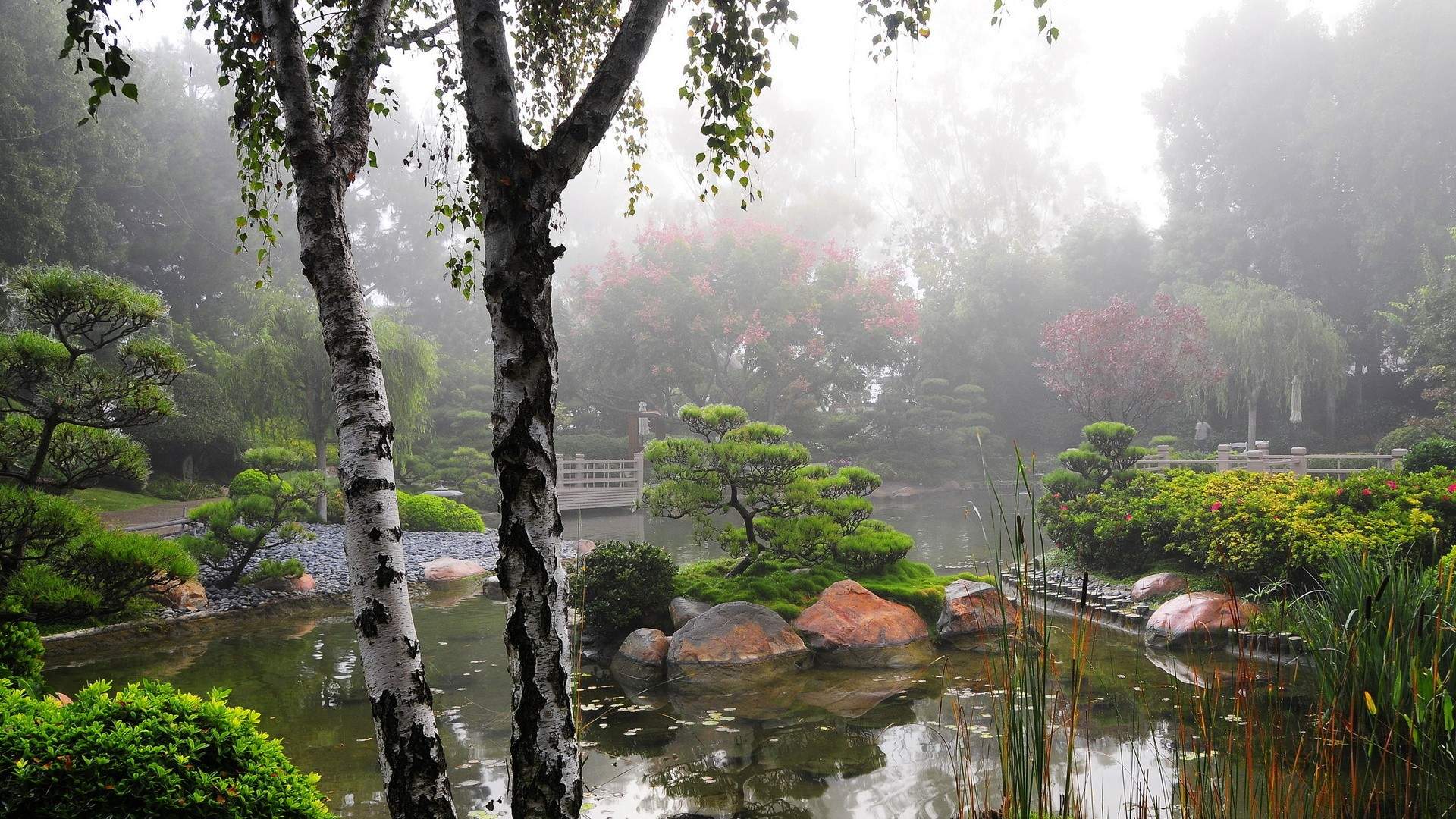 绿色花园风景图片高清宽屏桌面壁纸图片