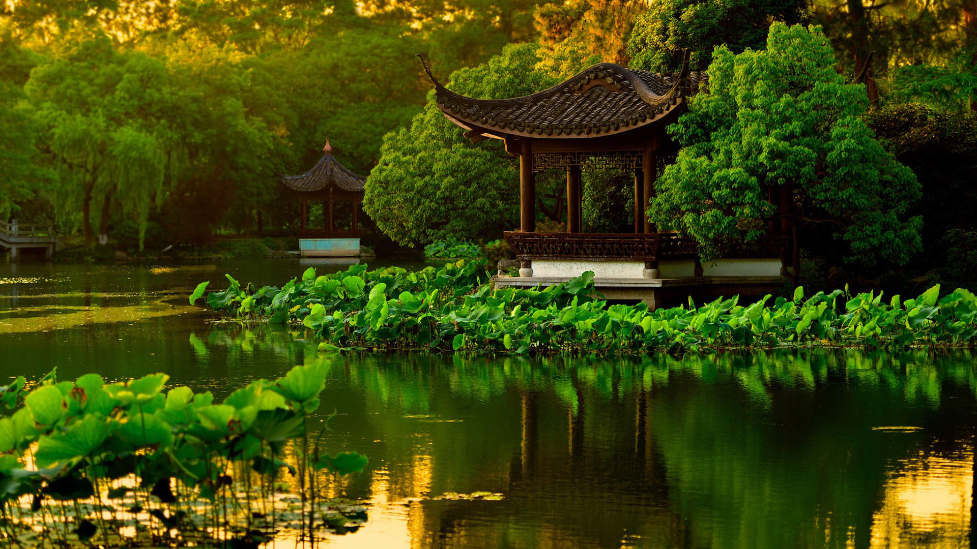花园壁纸图片
